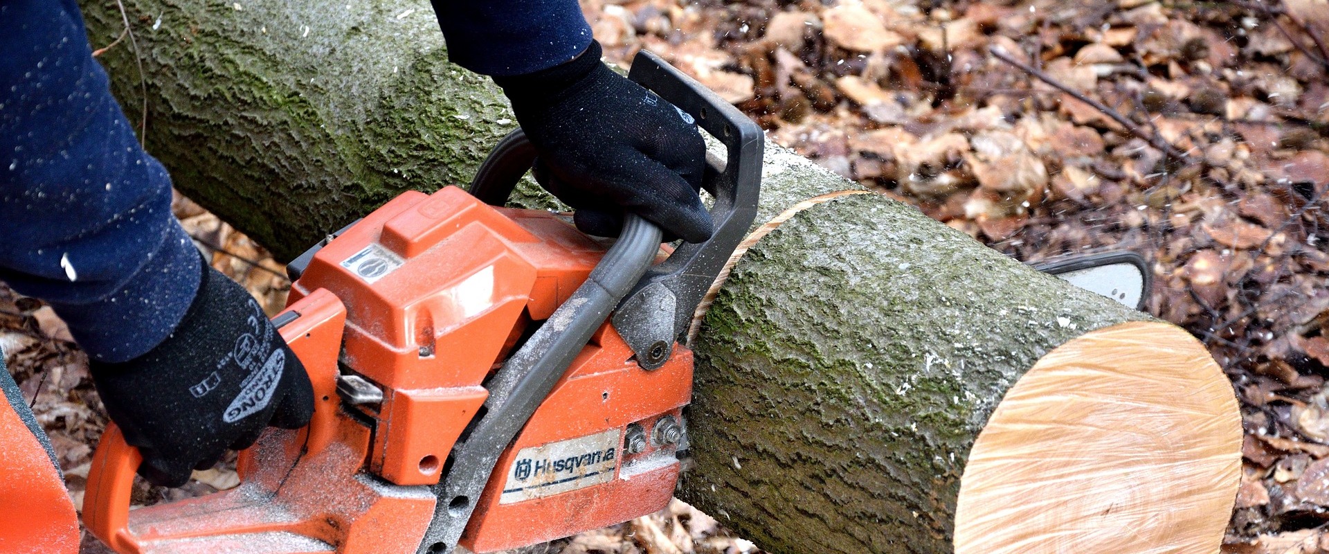 Pasture Management and Emergency Tree Removal for Safer Ashland, MO Properties