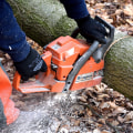 Pasture Management and Emergency Tree Removal for Safer Ashland, MO Properties