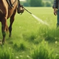Effective Strategies for Weed Control in Pasture Management