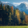 Enhance Land Health with Expert Pasture and Tree Care in Portland