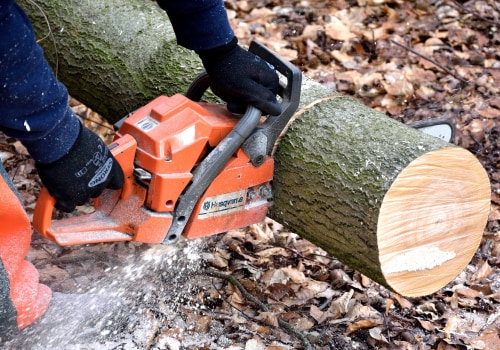 Pasture Management and Emergency Tree Removal for Safer Ashland, MO Properties