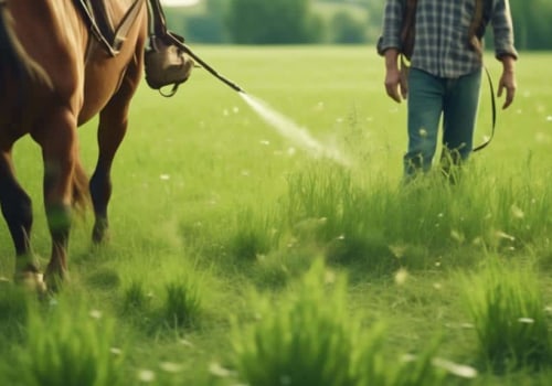 Effective Strategies for Weed Control in Pasture Management