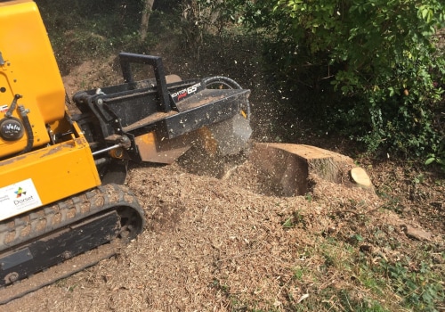 Enhance Pasture Management with Tree Removal in Maysville, WV